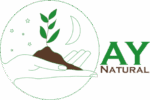 AY Natural Logo – Frische Tees, Kaffee und Matcha für bewusste Ernährung