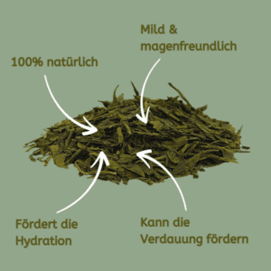 Japan Bancha: Premium Grüner Tee – Bild 4