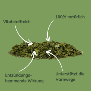 Brennnesselblätter: Natürlicher Kräutertee – Bild 4