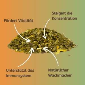 Energieoase: Grüner Rooibos mit Mate – Bild 4