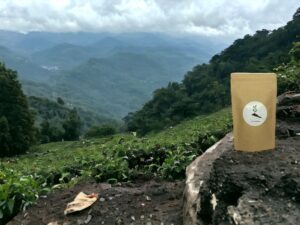 Dieses Bild fängt die Atmosphäre der Darjeeling First Flush Teeregion ein mit einem AY Natural Doypack der auf einem imposanten Steinfelsen platziert ist Im Hintergrund erstrecken sich die grünen Teefelder typisch für diese renommierte Anbauregion Die Szenerie wird von einem nebelverhangenen Gebirge und schwebenden Wolken umrahmt was die Mystik und Schönheit dieser Landschaft unterstreicht
