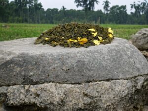 Hier liegt unser AY Natural Grüntee aus Assam auf einem Steinfelsen umgeben von der unberührten Natur Im Hintergrund erstreckt sich eine malerische Wiese mit Bäumen die die Schönheit und Frische der Landschaft unterstreichen Tauche ein in die Welt des natürlichen Genusses und genieße jeden Schluck dieses besonderen Grüntees aus Assam