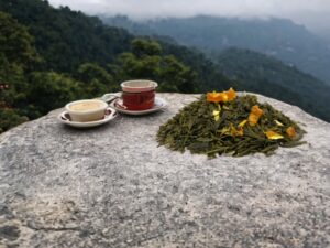 Auf einem Steinfelsen liegt der AY Natural loser Tee Im Hintergrund erstreckt sich ein üppiger grüner Wald Der grüne gerollte Tee ist mit Früchten gemischt und stammt aus Darjeeling Second Flush