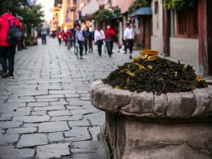 Der AY Natural Oolongtee liegt hier auf einem Stein und erweckt den Eindruck eines Stadtwegs Im Hintergrund ist eine Menschenmenge zu sehen während du die ruhige Atmosphäre genießt und den einzigartigen Geschmack dieses Oolongtees aus China kostest