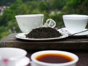 Hier liegt unser AY Natural Schwarztee aus Südindien in einem Teller auf dem Tisch umgeben von einigen Tassen für den Genuss in guter Gesellschaft Der klein gerollte dunkelgrüne Tee lädt zum Verkosten ein Im Hintergrund erstreckt sich ein grüner Wald der die natürliche Frische und Reinheit dieses besonderen Tees unterstreicht Genieße den Schwarztee und die Ruhe der grünen Umgebung Südindiens