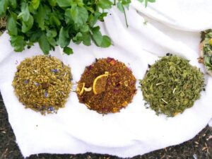 Dieses Bild präsentiert eine Auswahl an drei unterschiedlichen lose AY Natural Teesorten arrangiert auf einer weißen Wolldecke Die Teesorten zeichnen sich durch ihre individuellen Farben aus links befindet sich eine hellgelbe Sorte in der Mitte eine braune und rechts eine hellgrüne Diese hochwertigen Tees laden dazu ein die Vielfalt von AY Natural zu entdecken und den Genuss von natürlichen Aromen zu erleben