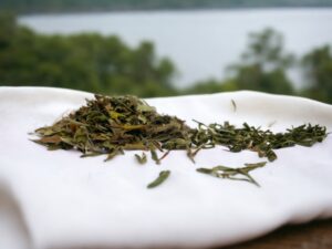 Hier liegt unser AY Natural Weißtee auf einer Wolle auf einem Tisch während im Hintergrund ein ruhiger See zu sehen ist Der dunkelgrüne gerollte Tee aus China verspricht einen milden und erfrischenden Geschmack Lass dich von der entspannten Atmosphäre am Seeufer inspirieren und genieße eine Tasse dieses besonderen Tees